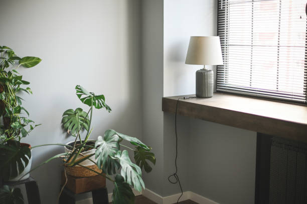 istock home interior with green home flowers and plants 1441509772