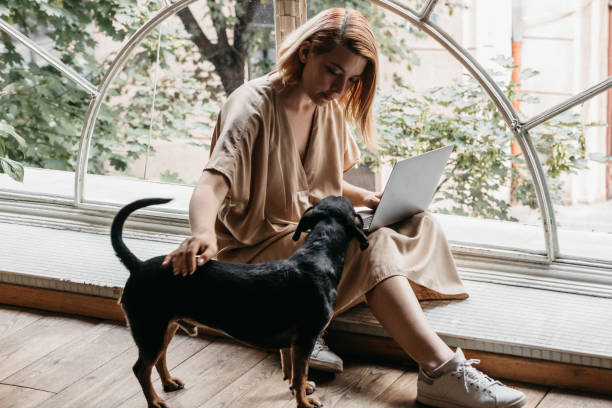istock Young woman petting her dog while working on laptop 1441509830