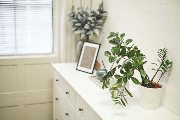 istock home interior with green home flowers and plants 1441512891