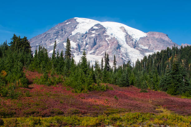 istock Summer Hike through Mount Rainier National Park, Washington State, USA 1441513000
