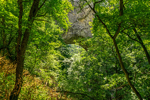 Prerasts of Vratna or Vratna Gates are three natural stone bridges on the Miroc mountain in Serbia