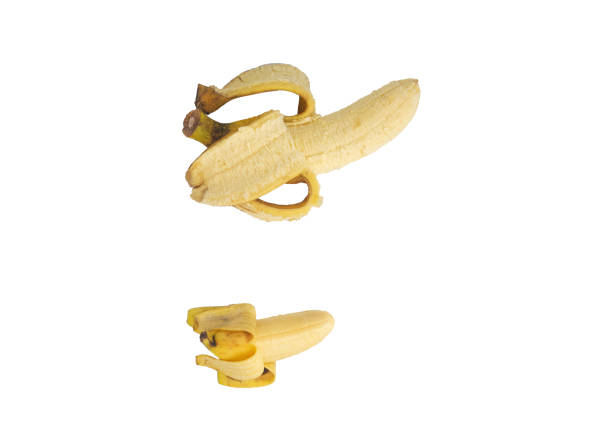small banana compare to big banana. illustrating a small and big penis comparison. erotic or sex concept isolated on white background
