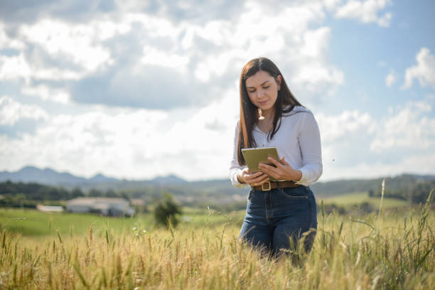 istock Female agronomist looking at wheat field 1441521211