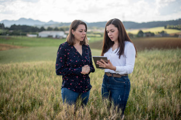 istock Two female agronomists talking in the wheat field 1441521235