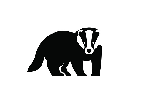 creative simple Badger vector illustration isolated on white background