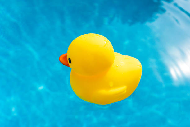 istock Rubber duck in swimming pool 1441534433
