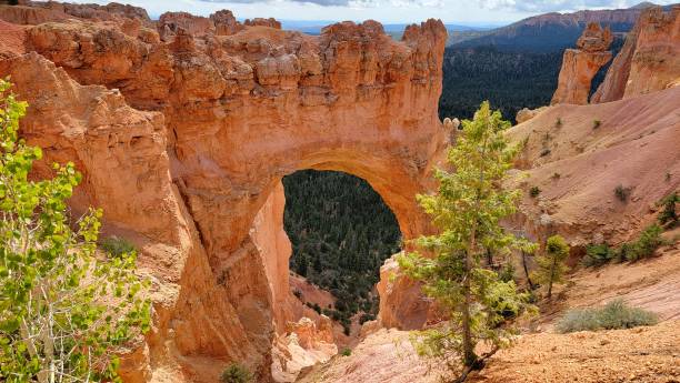 istock Bryce Canyon, Utah - September 2022 1441536480