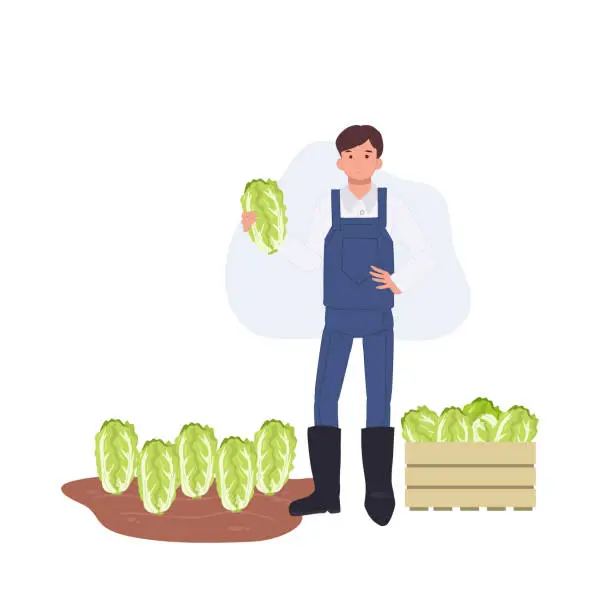 Vector illustration of Agricultural concept. male farmer with vegetable Chinese cabbage. Farmer holding fresh product. Flat vector cartoon character illustration.