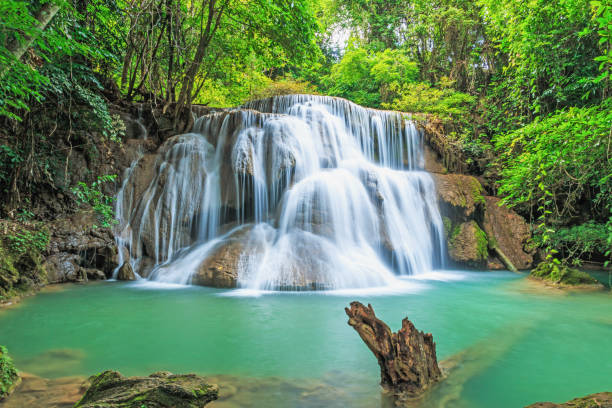 istock Deep forest waterfall in national park Thailand 1441544963