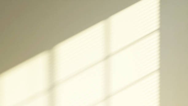 istock Beautiful soft sunlight and shadow from window blinds on empty pastel green wall background 1441551759