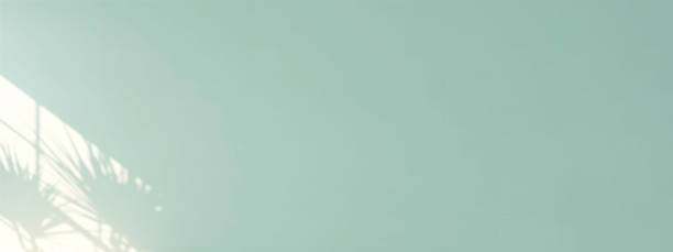 istock Beautiful soft dappled light and tree leaf shadow from window on blank pastel green wall background 1441551760
