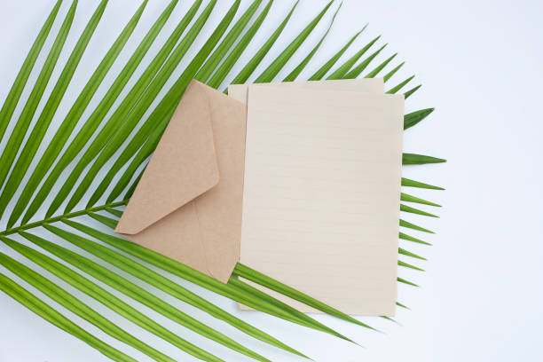 istock Brown paper and envelopes on green leaves 1441552785