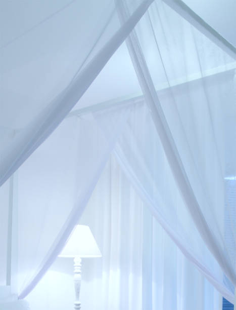 istock The white bedroom has a mosquito net and a white lamp in the midle 1441552854