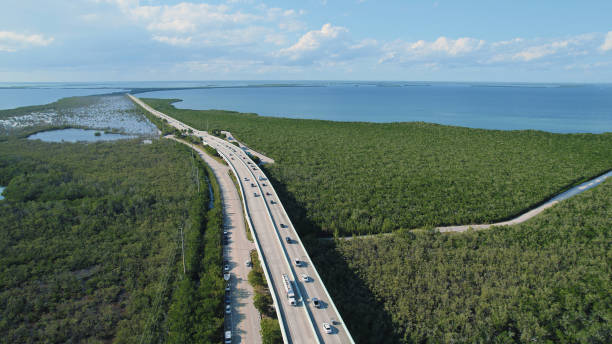 istock The Florida Keys - Key Largo bridge with traffic moving 1441559260