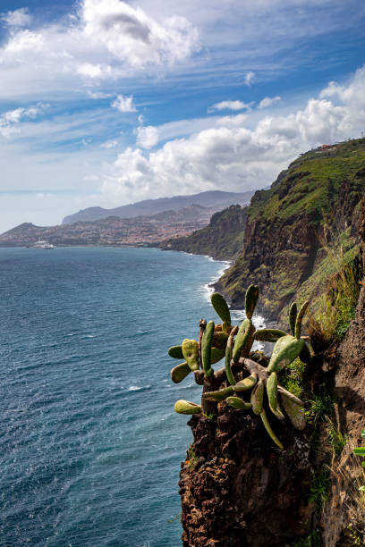 istock Coastline on Madeira island, Portugal 1441562590