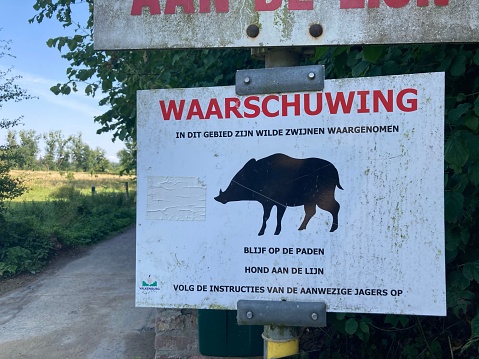 Maastricht, Netherlands – July 25, 2022: A warning sign with a black wild boar on it in Maastricht, the Netherlands\nTranslation: Warning, Wild boars have been observed in this area