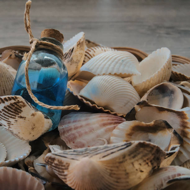 istock Closeup shot piled small seashells and a small bottle with blue liquid 1441564877