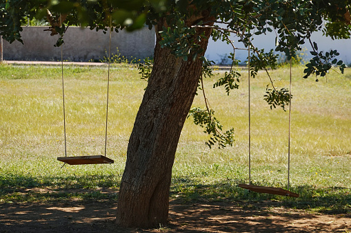A view of two wooden swings in the shade hanging from a tree branchin Ibiza, Spain
