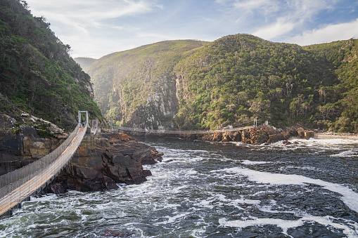 The Tsitsikamma National Park on the Garden Route in South Africa