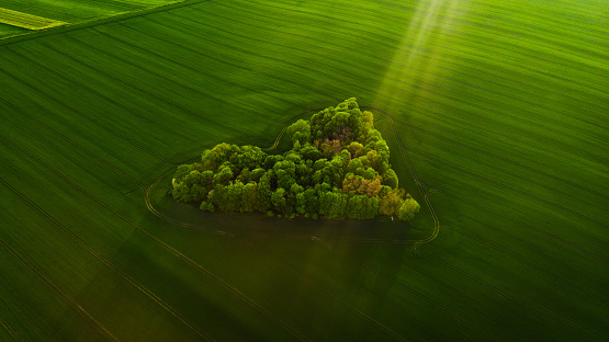 An aerial view of a heart-shaped green landscape