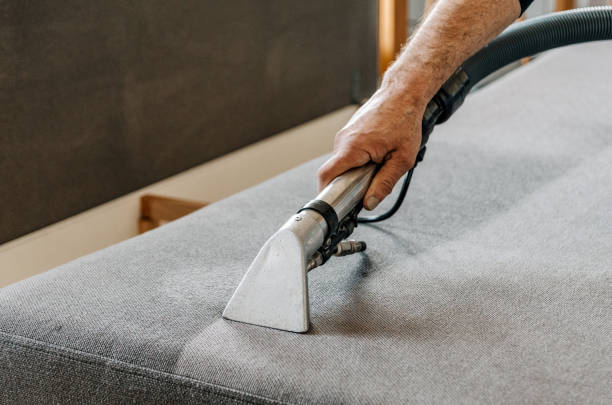 istock Professional cleaning service deep cleaning sofa at home. 1441566257