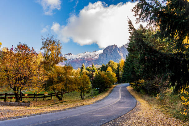 아르헨티나 파타고니아 바릴로체에서 울창한 숲을 통과하는 도로의 아름다운 사진 - south america argentina bariloche autumn 뉴스 사진 이미지