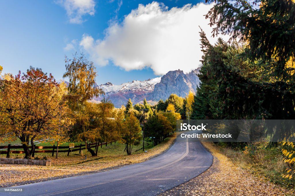 Beautiful shot of a road through a dense forest in Bariloche, Patagonia, Argentina A beautiful shot of a road through a dense forest in Bariloche, Patagonia, Argentina Bariloche Stock Photo