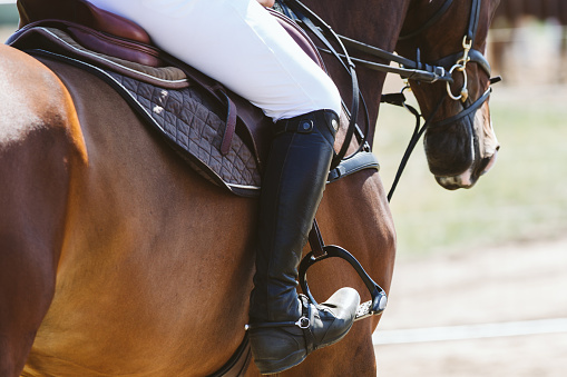 Horse jumping over an obstacle during a showjumping competition.