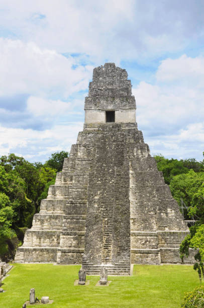 istock Vertical shot of t 1441567216