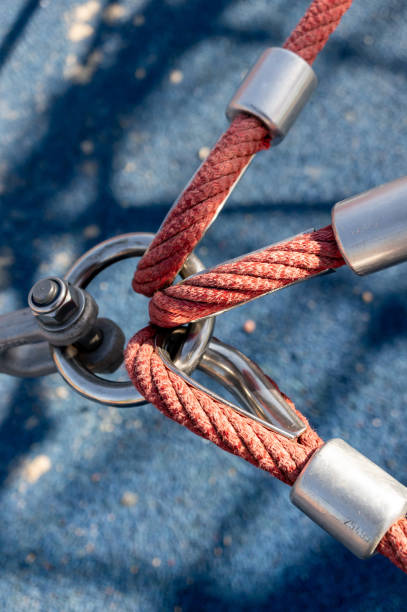 istock Vertical shot of a red webhooks knot under sunlight 1441567545