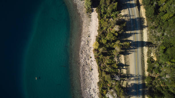istock Road in a forest with big trees and lake 1441568503