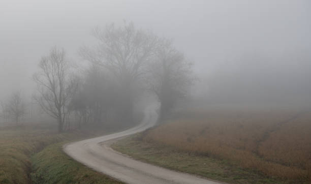 istock Dirt path winding through a hazy landscape in the countryside 1441570010