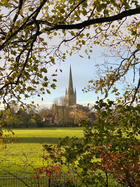 istock View to Norwich Cathedral, UK 1441570368