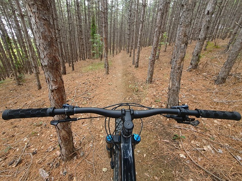 Mountain bike on a dirt road in the forest