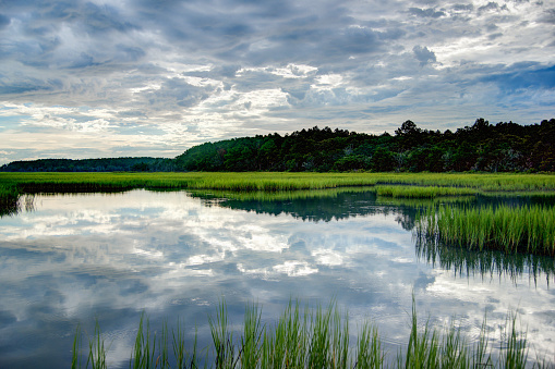 A beautiful view of the grass in the lake and the reflection of clouds in it in Marsh, South Carolina
