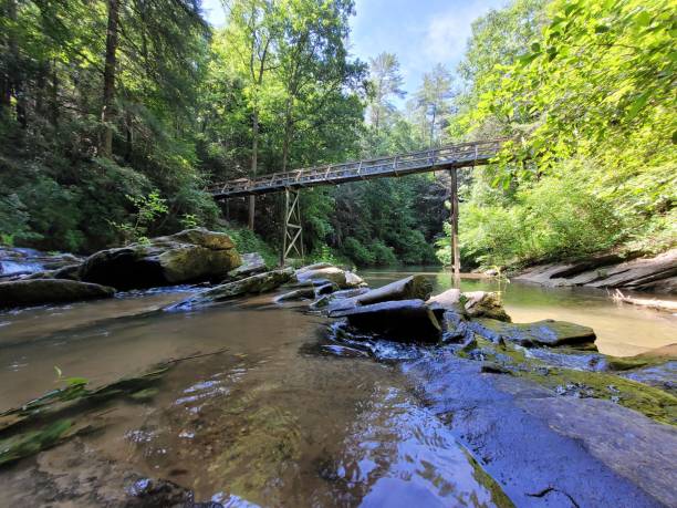 istock Low-angle view of a beautiful bridge constructed above the lake 1441571978