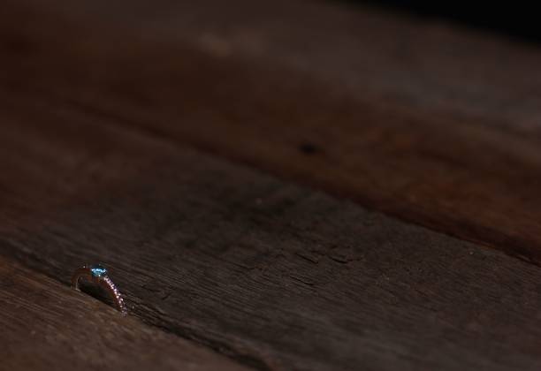 istock A wedding ring with a blue diamond on it between dark color woods 1441572493