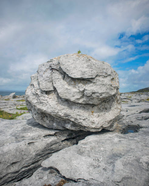 Limestone pavement, the Burren, County Clare, Republic of Ireland.