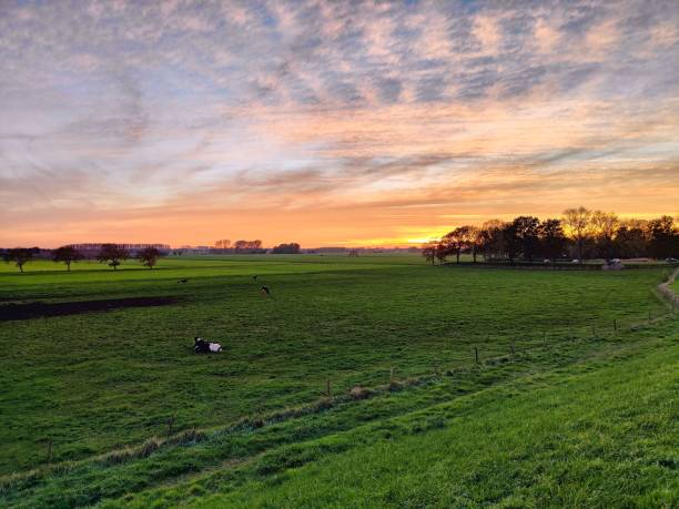 istock Beautiful view of the fields at sunset 1441575190