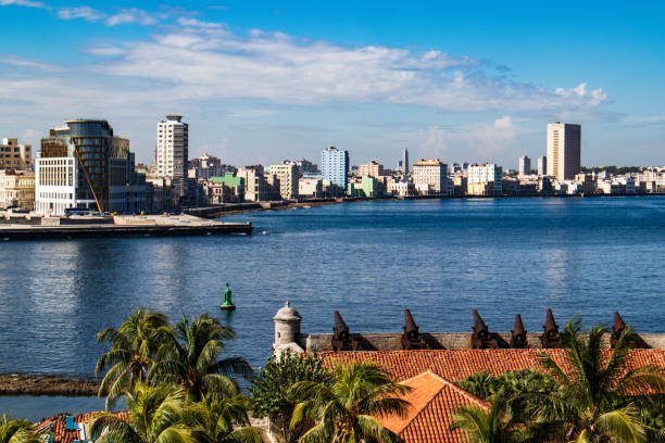 istock Highly detailed panoramic view of Old Havana 1441575340