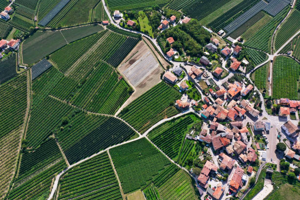 istock Agriculture in Italy, Pietramurata 1441575452