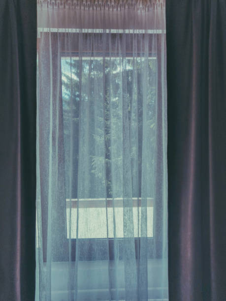 istock View from the window with beautiful purple curtains 1441575701
