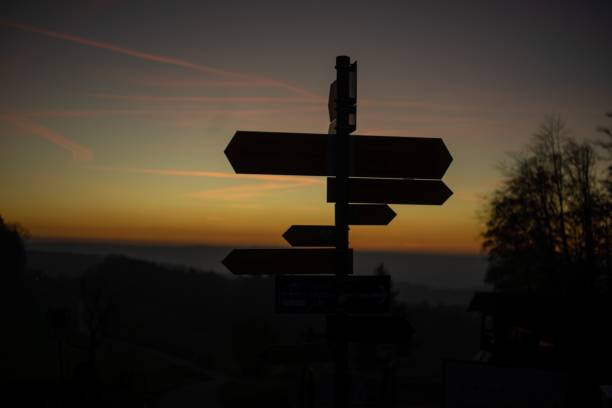istock Selective focus shot of direction signs against the sunset 1441575824