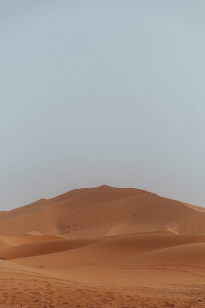 istock Orange sand Dunes in the desert with the light blue sky background 1441576371