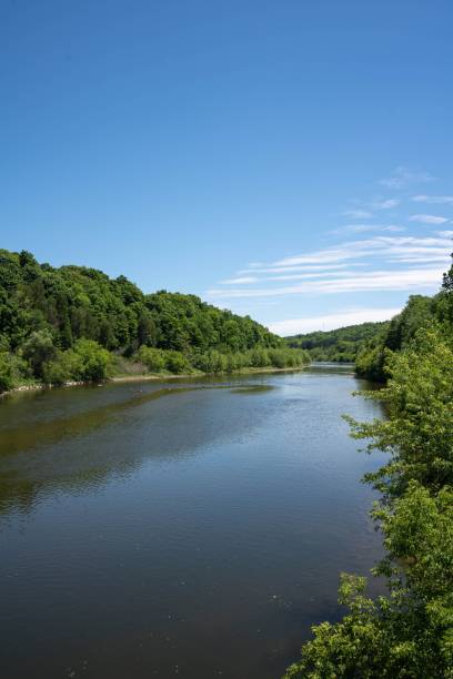 istock Beautiful view of a river surrounded by green trees under the blue sky 1441577052
