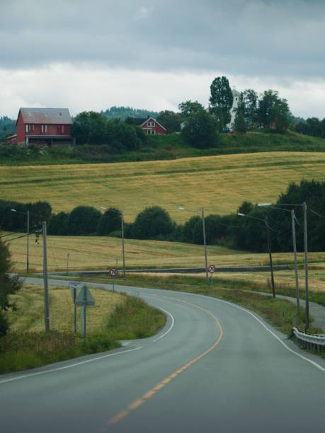 istock Road in the countryside in Norway. 1441577140