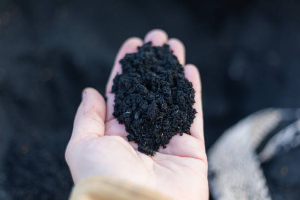 istock Top view of black Organic composted soil amendments in a hand 1441577249