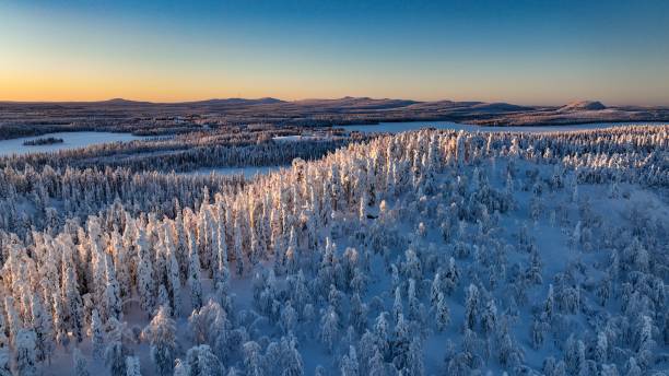 Sunlit, snow covered forest 04 Aerial drone view above sunlit, snow covered trees on top of a hill, golden hour in Lapland norrbotten province stock pictures, royalty-free photos & images