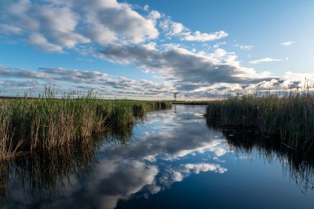 istock Morning sky and white clouds reflected on a lake in Canada 1441579124