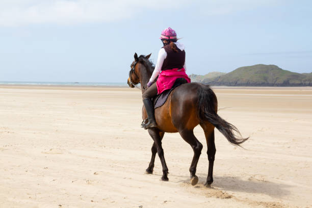 孤独な女性ライダーと彼女のベイホースは、アングルシーウェールズの空のビーチでの乗馬を楽しんでいます - riding horse for leisure ストックフォトと画像